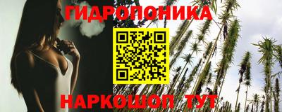 spice Кинель