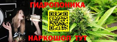 spice Кинель