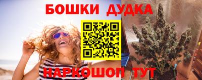 spice Кинель