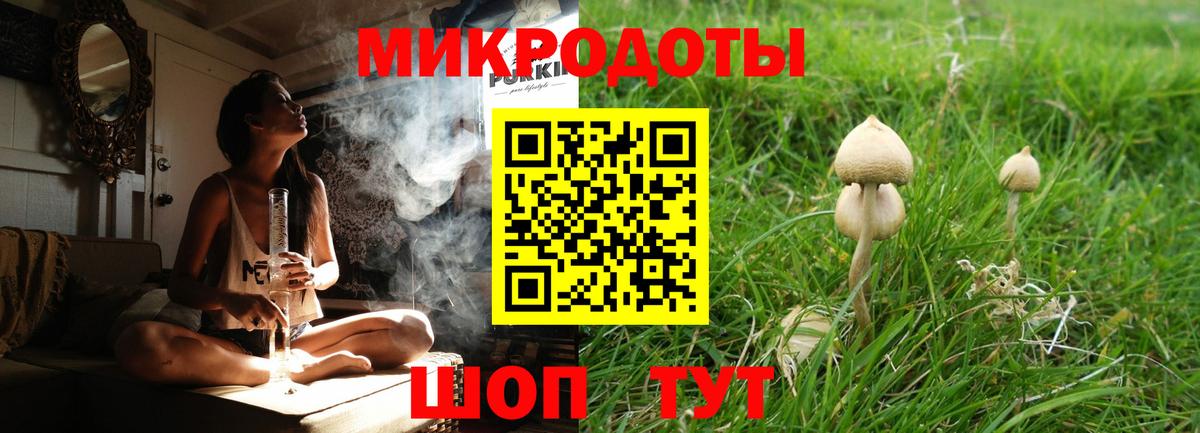 Галлюциногенные грибы прущие грибы Красноярск
