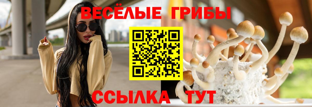Красноярск  Галлюциногенные грибы Cubensis  Вход с VPN 